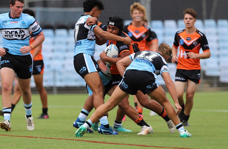 HMC Rnd 1 SHARKS vs TIGERS