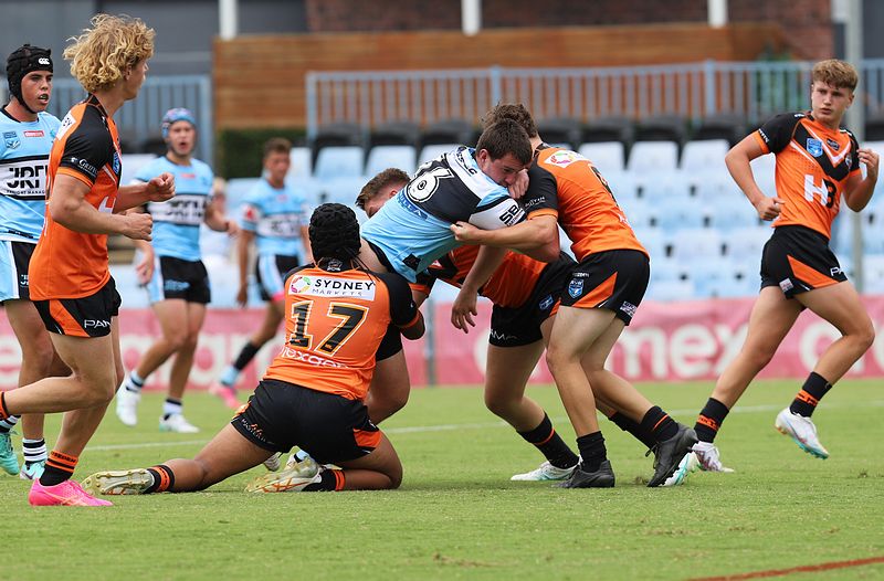HMC Rnd 1 SHARKS vs TIGERS