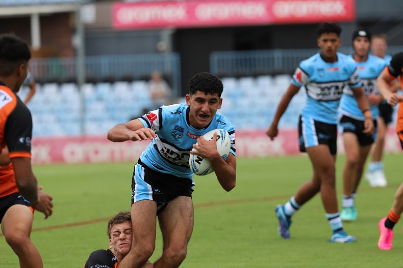HMC Rnd 1 SHARKS vs TIGERS