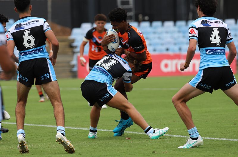 HMC Rnd 1 SHARKS vs TIGERS