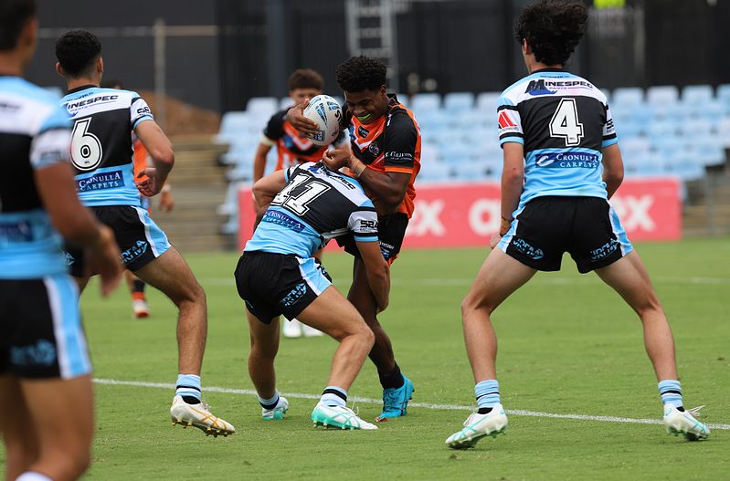 HMC Rnd 1 SHARKS vs TIGERS