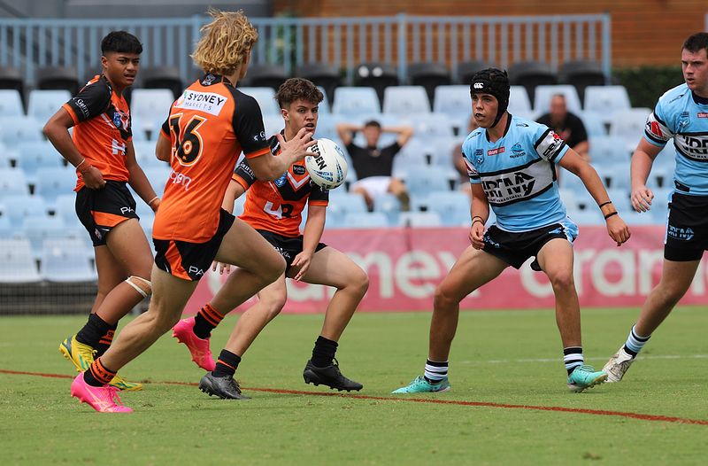 HMC Rnd 1 SHARKS vs TIGERS