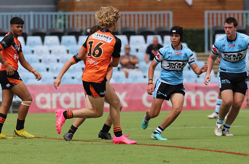 HMC Rnd 1 SHARKS vs TIGERS