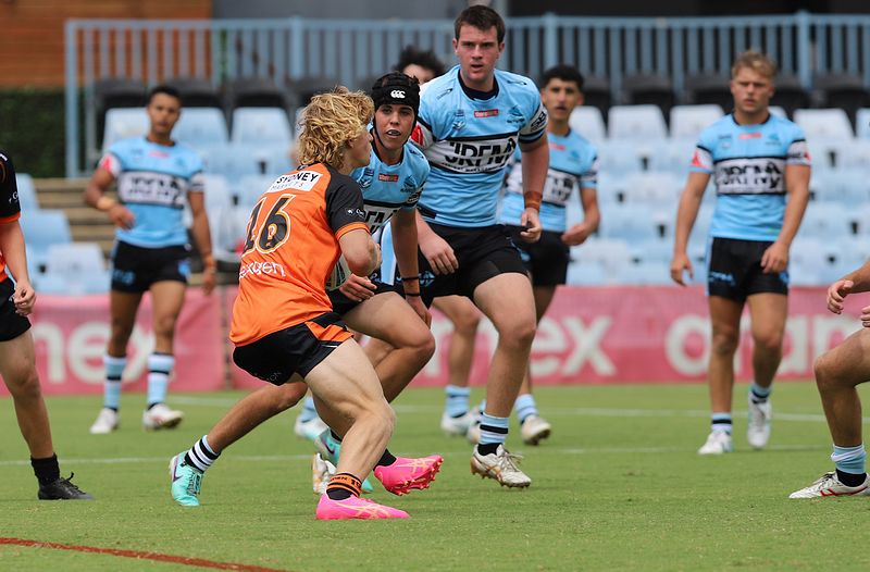 HMC Rnd 1 SHARKS vs TIGERS