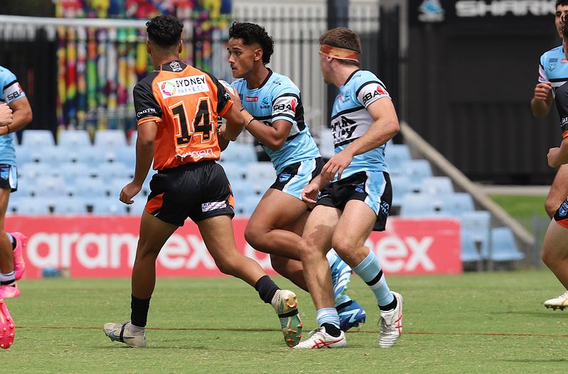 HMC Rnd 1 SHARKS vs TIGERS