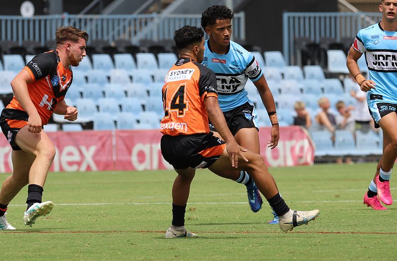 HMC Rnd 1 SHARKS vs TIGERS