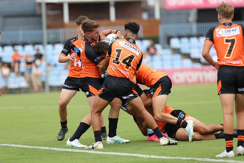 HMC Rnd 1 SHARKS vs TIGERS