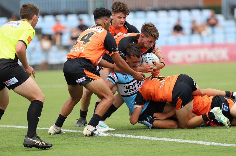 HMC Rnd 1 SHARKS vs TIGERS