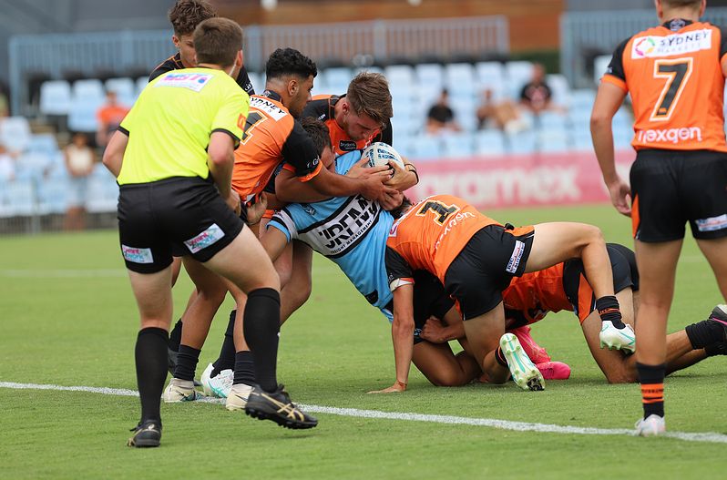 HMC Rnd 1 SHARKS vs TIGERS