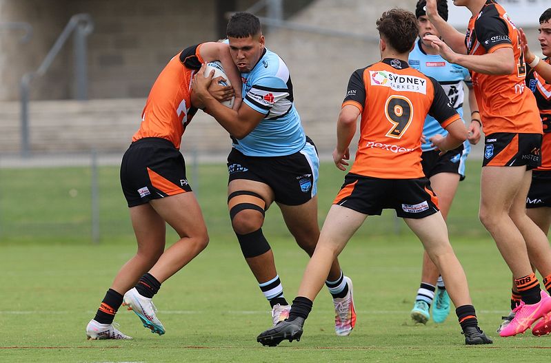 HMC Rnd 1 SHARKS vs TIGERS
