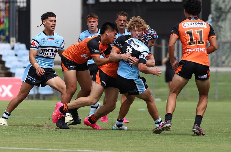 HMC Rnd 1 SHARKS vs TIGERS