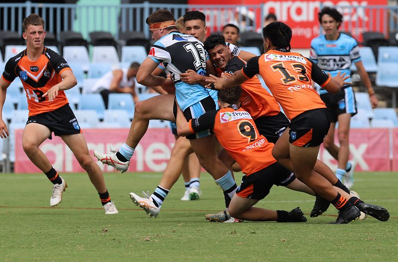 HMC Rnd 1 SHARKS vs TIGERS