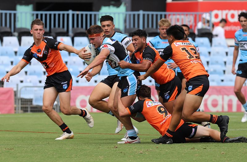 HMC Rnd 1 SHARKS vs TIGERS