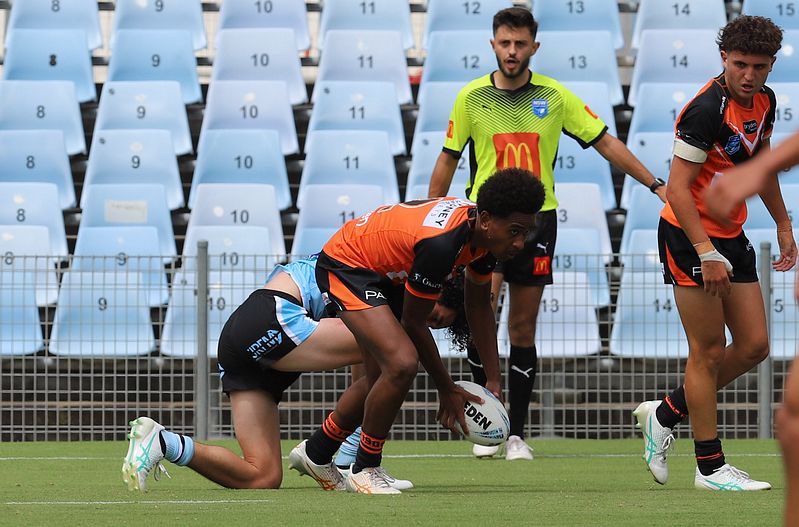 HMC Rnd 1 SHARKS vs TIGERS