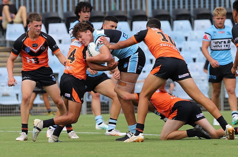 HMC Rnd 1 SHARKS vs TIGERS