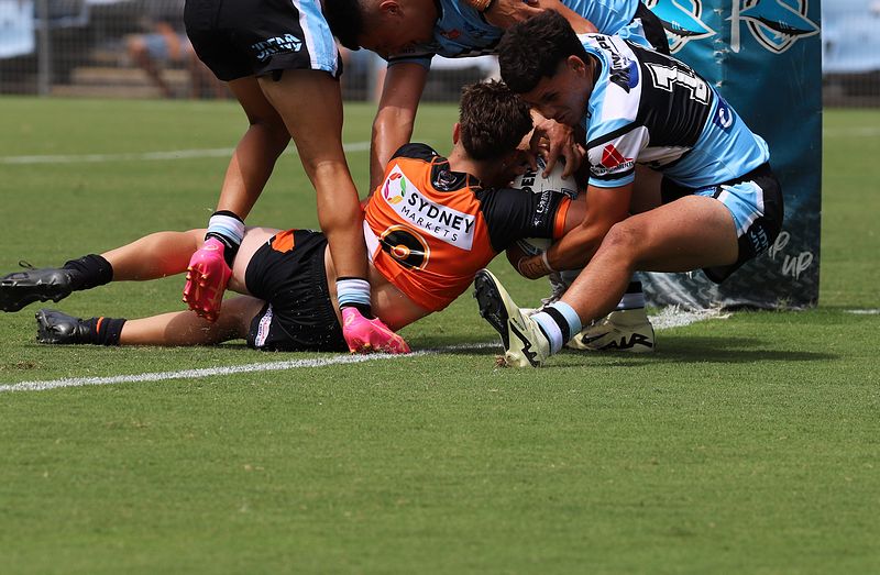 HMC Rnd 1 SHARKS vs TIGERS