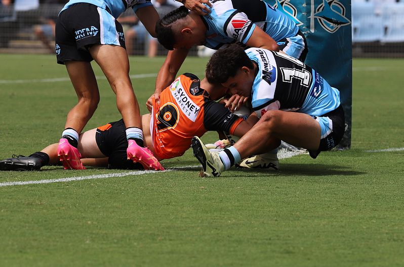 HMC Rnd 1 SHARKS vs TIGERS