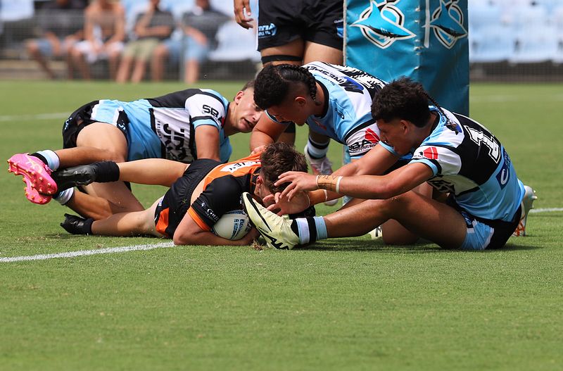 HMC Rnd 1 SHARKS vs TIGERS