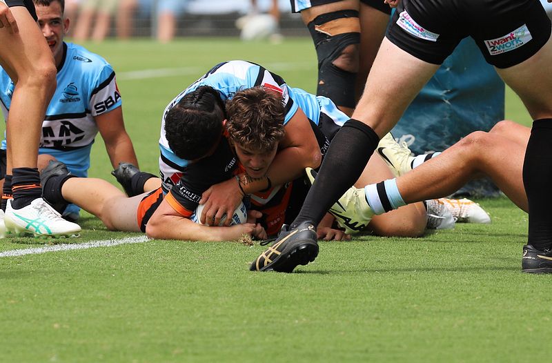 HMC Rnd 1 SHARKS vs TIGERS