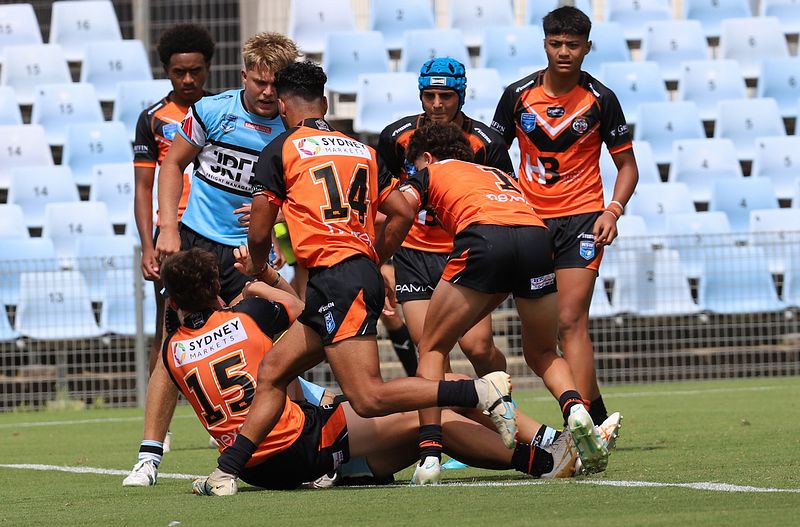HMC Rnd 1 SHARKS vs TIGERS