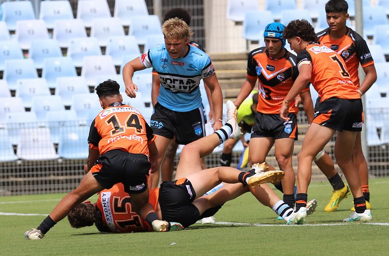 HMC Rnd 1 SHARKS vs TIGERS