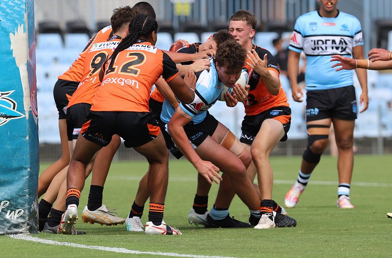 HMC Rnd 1 SHARKS vs TIGERS