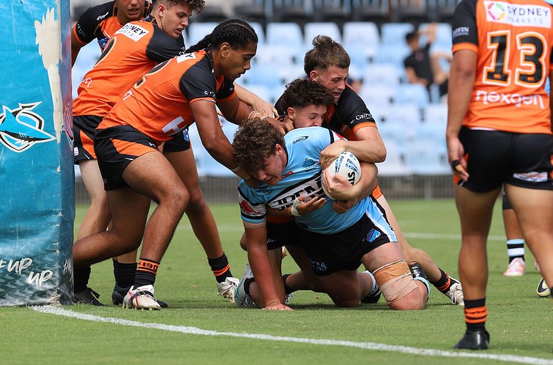 HMC Rnd 1 SHARKS vs TIGERS