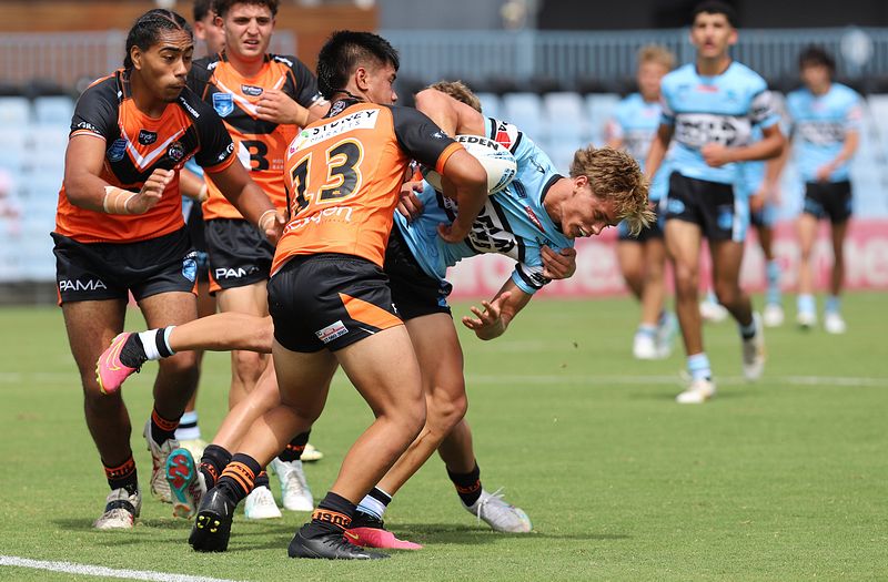HMC Rnd 1 SHARKS vs TIGERS