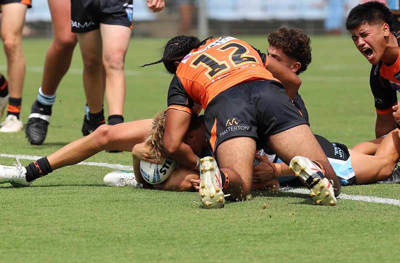 HMC Rnd 1 SHARKS vs TIGERS