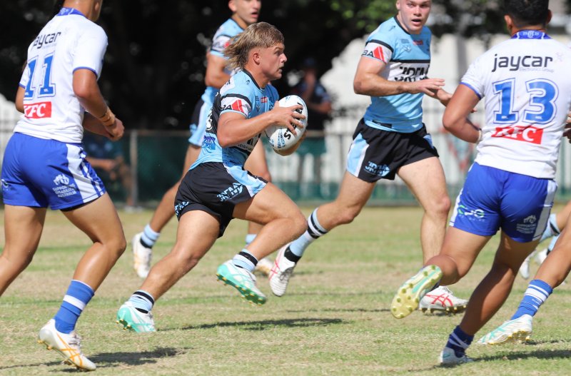 Junior Sharks defeated by Dogs (Photo - Steve Montgomery)
