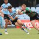 NSWRL SG Ball Cup Rnd 5 Action Photo's Cronulla Sharks vs South Sydney Rabbitoh's (Photo's - Steve Montgomery)