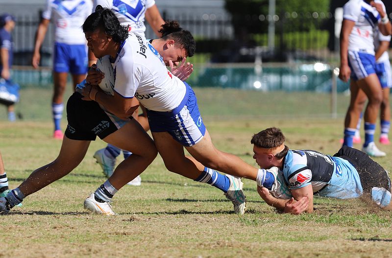 HMC Rnd 6 BULLDOGS vs SHARKS