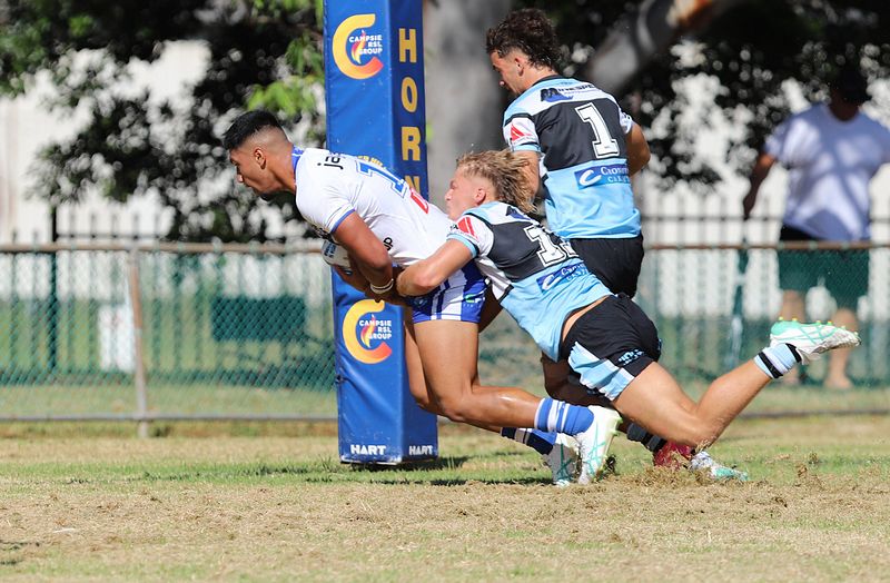 HMC Rnd 6 BULLDOGS vs SHARKS