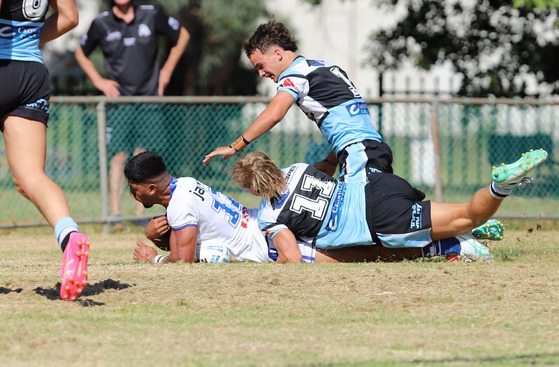 HMC Rnd 6 BULLDOGS vs SHARKS