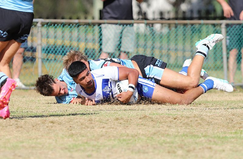 HMC Rnd 6 BULLDOGS vs SHARKS