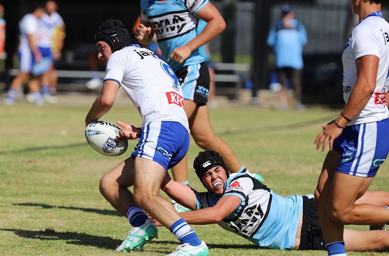 HMC Rnd 6 BULLDOGS vs SHARKS
