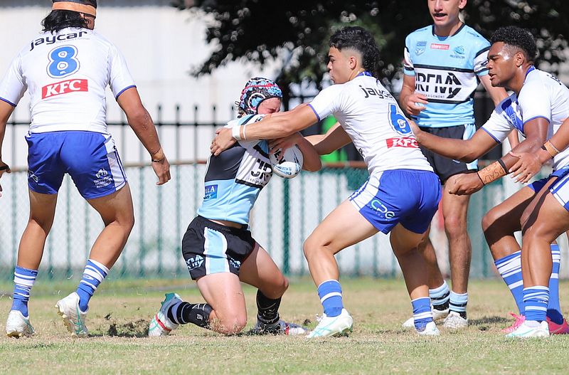 HMC Rnd 6 BULLDOGS vs SHARKS