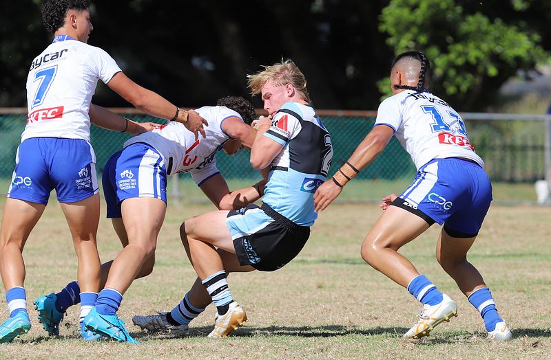 HMC Rnd 6 BULLDOGS vs SHARKS