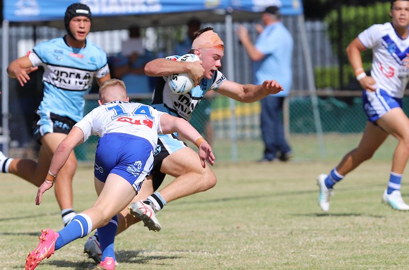 HMC Rnd 6 BULLDOGS vs SHARKS