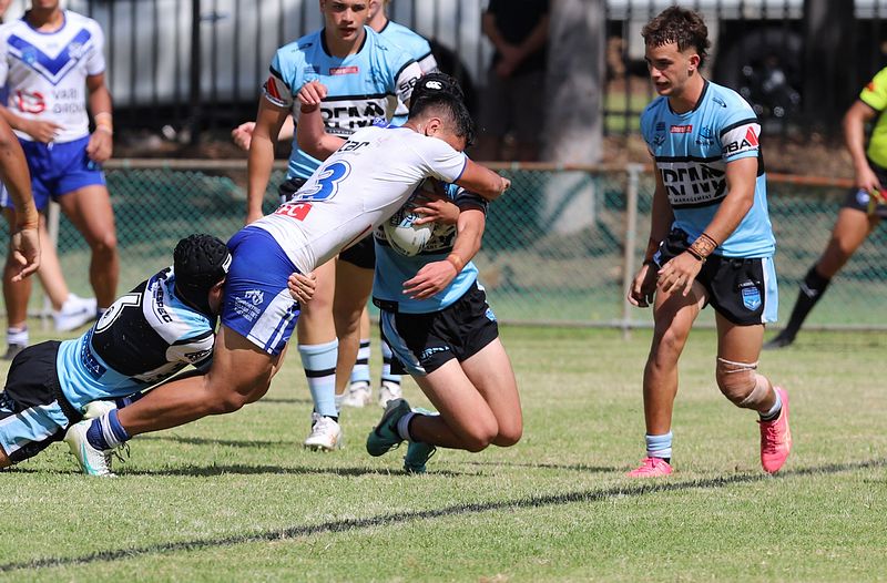 HMC Rnd 6 BULLDOGS vs SHARKS