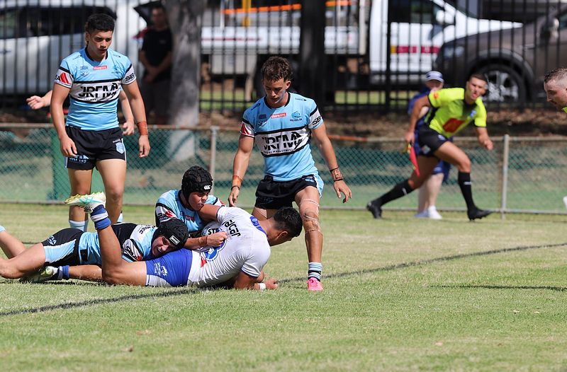 HMC Rnd 6 BULLDOGS vs SHARKS