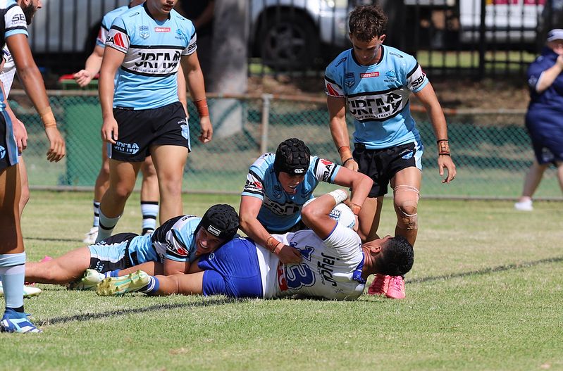 HMC Rnd 6 BULLDOGS vs SHARKS
