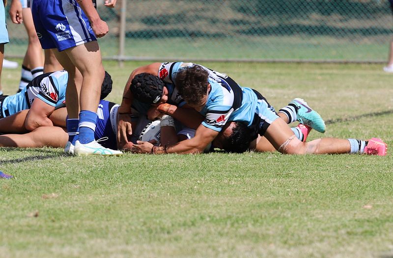 HMC Rnd 6 BULLDOGS vs SHARKS