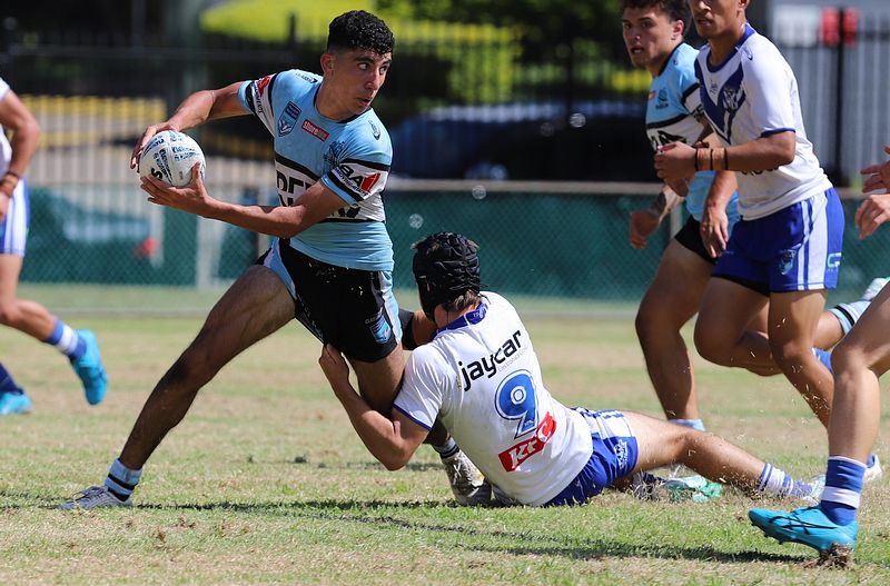 HMC Rnd 6 BULLDOGS vs SHARKS