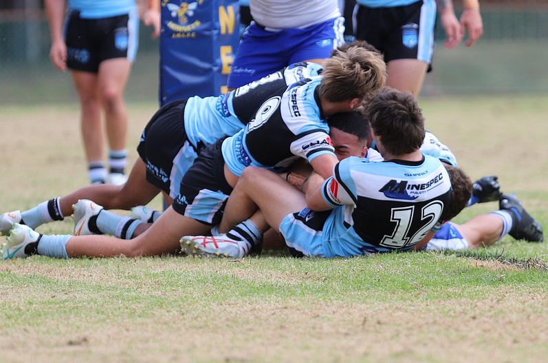 SGB Rnd 6 BULLDOGS vs SHARKS