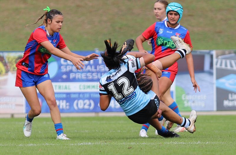 LFC Rnd 8 KNIGHTS vs SHARKS