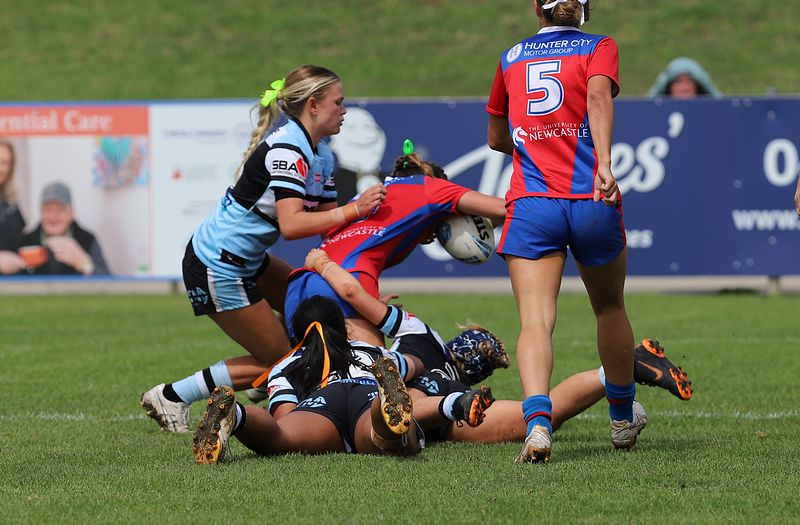 LFC Rnd 8 KNIGHTS vs SHARKS