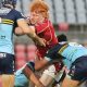 2024 Mal Meninga Cup Round 11 Draw (Photo - Hedro Photography)
