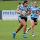 Sharks teams bow out of junior rep finals (Photo - Steve Montgomery)