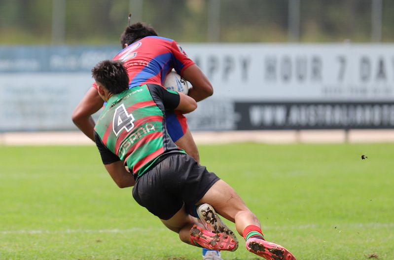 KNIGHTS vs RABBITOHS SGB Rnd 8